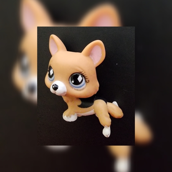 Authentic Littlest Pet Shop LPS #639 Welsh Corgi Puppy Dog Diamond Eyes 2007 - Picture 9 of 9